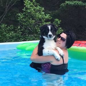 Meet your Posher, Annie